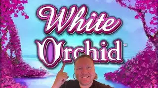Hunting the White Orchid Bonus on This Classic Slot