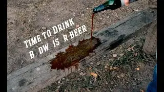Время выпить. Пиво Budweiser B:Dark (из Чешских Будейовиц)