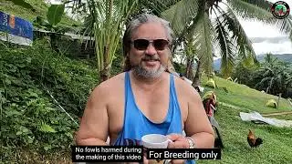 sa farm  ni kakugi