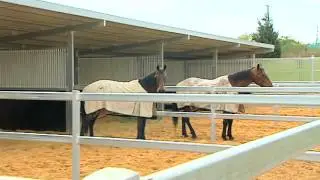 Cranbourne Harness Training Complex
