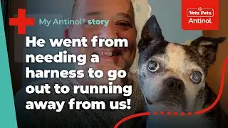 Charlie's Mobility Transformation with Antinol  | My Antinol Story