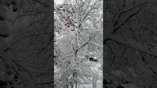 Morgins❄️❄️❄️