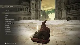 Elden Ring Shadow Of The Erdtree Final Boss (Maidenless cheese victory)