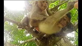 Appetite Monkey are happy to get food from tourist