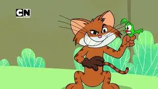 Yeh Dushmani Nahi, Yeh Masti Hai! | Cat & Keet 😍| Promo | 17th Feb | @cnindia