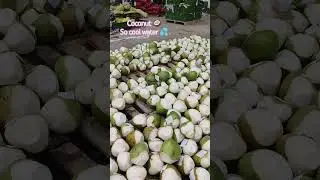 #newmusic #shorts unik All NATURE zone support my all public Dil se subscribe 🤎🙏🫠