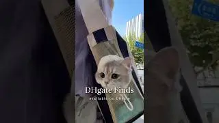 My Pet&rsquo;s New Favorite Travel Bag 🐶🐱 #dhgate #dhgatefinds #coolgadgets