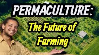 What is Permaculture and Can it Save the World?