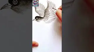 Vẽ Chim Bay Đơn Giản Bằng B&uacute;t Ch&igrave; | Easy Flying Bird Drawing Tutorial