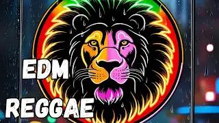 🌴 Reggae Funk Fusion The Ultimate EDM & Island Vibe Mix 🌞🎶
