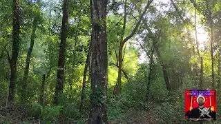 Calm within music for relaxation, yoga, chilling, and meditation with host Freedomdeus Mostart