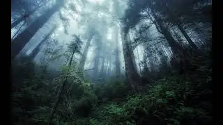 Enigma - Why!... [800% slowed, Ambient]