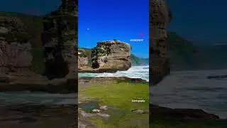 Muriwai beach, New Zealand - Please subscribe for more scenic and travel videos #travel #explore