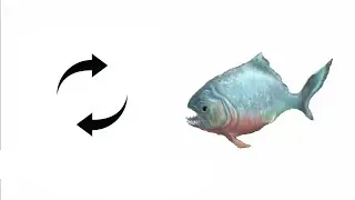 2 piranha spinning (arbs mobile)