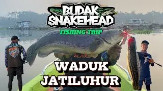 BUDAK SNAKEHEAD II FISHING TRIP H 2 WADUK JATILUHUR