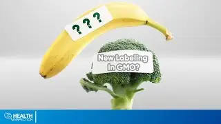 Story Behind GMO Labeling | GMO Food Good or Bad?