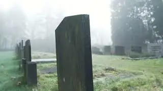 Deaths of Despair and the Decline of American Religion