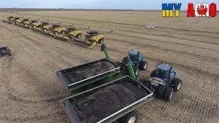 #2. Опыт работы для переезда в Канаду. Канада глазами украинца. Реджайна, Саскачеван.