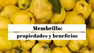 Membrillo: propiedades, beneficios y valor nutricional