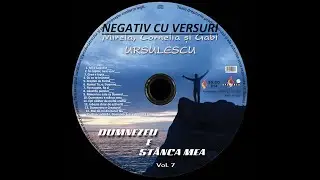 NEGATIV-  ÎN CUPTOR NU E UȘOR- Cornelia Ursulescu, nr. 2, vol.7