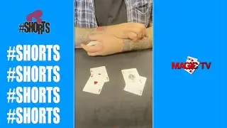 Smoothest Ace Trick Ever! | Craig Petty Magic #shorts