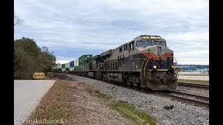 NS 8101 