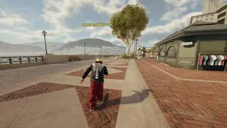 skate. The Homies line  (get shakeyy)