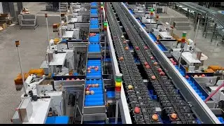 Automated Pouch Bagging System with Integrated Check Weigher