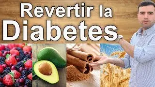 Como Revertir la Diabetes &ndash; Remedios Caseros, Suplementos y Dietas Para Tratar la Diabetes