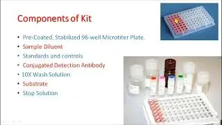ELISA TEST | ENZYME LINKED IMMUNO SORBENT ASSAY | ANTIGEN ANTIBODY REACTIONS