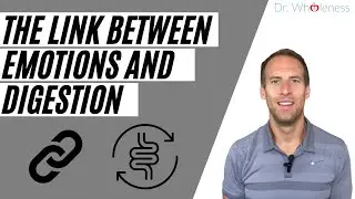 Nervous Stomach? How Emotions Affect Your Digestion.