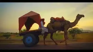 Explore Jaipur with Taj Hotels | Honest Hotel Reviews