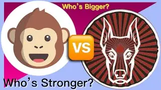 Ape Swap Beats Animal Farm!  👀