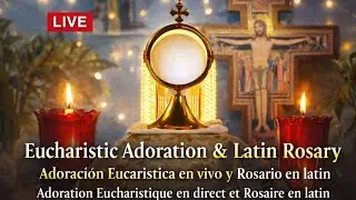 🔴 LIVE EUCHARISTIC ADORATION | Jesus Present &bull; Peace &bull; Latin Rosary