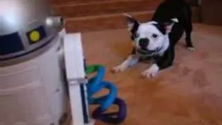 Frank vrs R2D2
