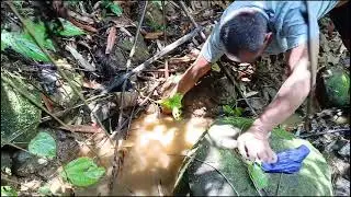 Pure jungly river crab catching | Arunachal Pradesh mountain river | Traditional fishing video