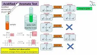 L3 Organic Chemistry NCEA - Tests used to distinguish alcohols and aldehydes.