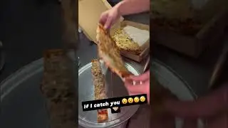 Pizza Thief 🤯 Credit: Tag or DM #viral #pizza #food #foodie #news