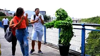 Bushman Prank 2026: From Pure Fear to Uncontrollable Laughter 😱😂