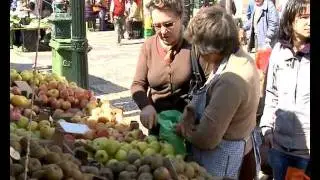 Prove Portugal - Estremadura - Mercado das Caldas da Rainha e Loiça Bordallo Pinheiro