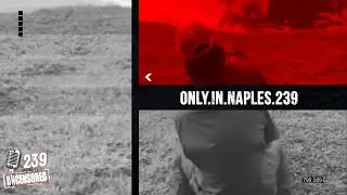 Only in Naples 239 Reveal | Craziness of Naples and how he started his IG page #115