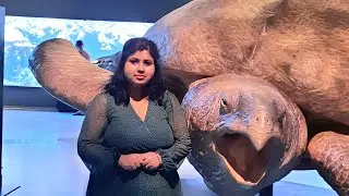 National Aquarium of Denmark / Den Bl&aring; Planet..🐋🐬🐟🐳🐙