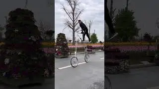 Spring is here and the flowers are blooming. Please do not imitate dangerous moves. The brave pe