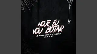 Hoje Eu Vou Botar (feat. BIG MC)