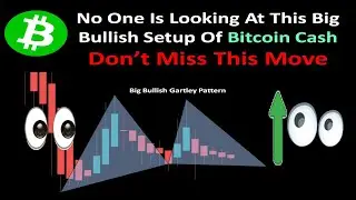 No One Is Looking At This Big Bullish Setup Of Bitcoin Cash  Don&rsquo;t Miss This Move