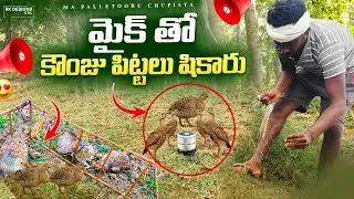 మైక్ తో కౌంజు పిట్టల షికారు || Mic Hunting With Kounju Pitta || Quail birds Hunting