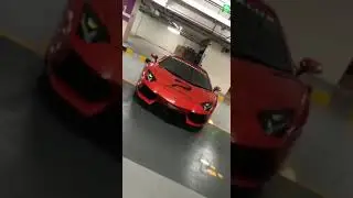 Performalux 2019/ Nilhan_Cars.