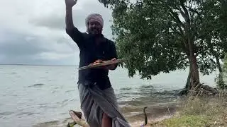 Fish Fry Recipe
