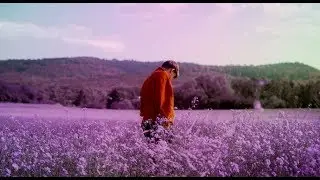 JACE - Orlando prod. by SBM (Official Video)