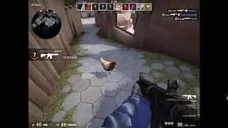 CS GO : chicken murder